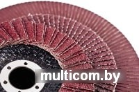 Шлифовальный круг БаЗ Р36