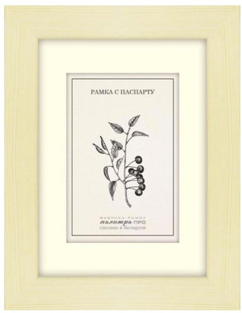 Фоторамка Палитра ПД30 10x15 (15x21)