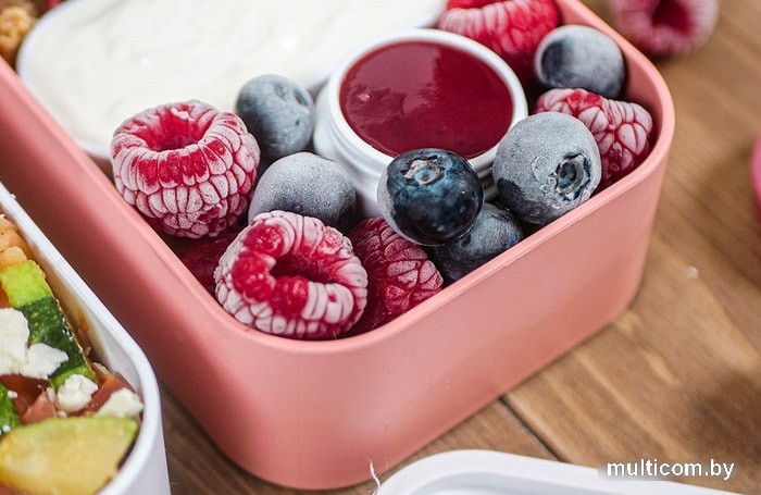 Термос для еды Monbento MB Original pink Flamingo