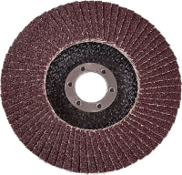 Шлифовальный круг БаЗ Р36