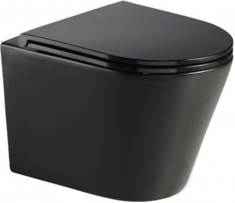 Унитаз WeltWasser Salzbach 041 MT-BL (черный матовый)