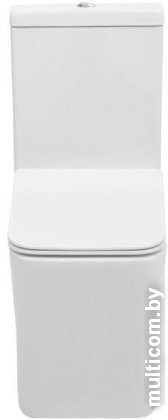 Унитаз Aquanet Rimless Tavr-C1 BL-103N-TPT