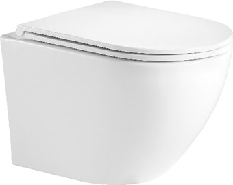 Унитаз WeltWasser Merzbach 004 MT-WT (белый матовый)