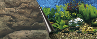 Фон Aqua Della Sea & Rock 80x40 см 241/108772