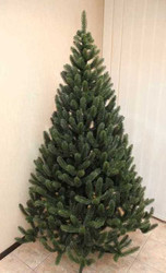 Ель Смерека-Плюс Карпатская 2.8 м