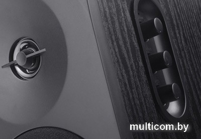 Акустика Microlab B 70