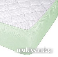Защитный наматрасник Vegas Protect Cotton S1 120x190 (фисташковый)
