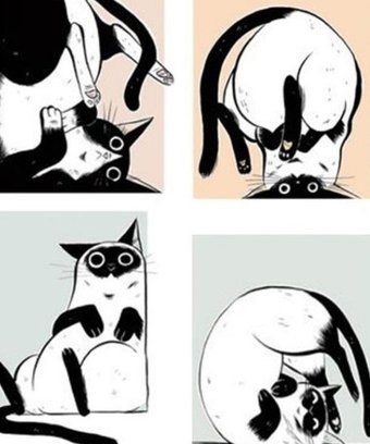 Картина по номерам ILikeGift Мемчики. Неуклюжая кошка HR0676