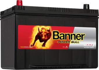 Автомобильный аккумулятор Banner Power Bull P95 05 (95 А&middot;ч)