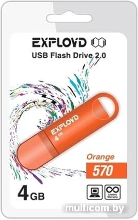 USB Flash Exployd 570 4GB (оранжевый)