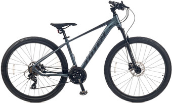 Велосипед Totem Master-29HDA (серый)