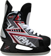 Коньки Vimpex Sport PW-216 EI