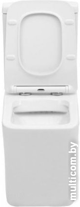 Унитаз Aquanet Rimless Tavr-C1 BL-103N-TPT