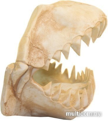 Декорация DekSi Череп динозавра №1003