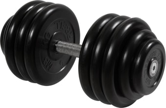 Гантели MB Barbell Профи 38.5 кг (вращающаяся ручка)