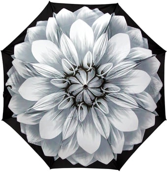 Зонт Pasotti Mini Georgin Grigio