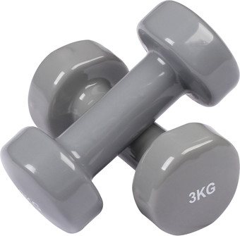 Набор гантелей Indigo 92005 IR 2x3 кг (серый)