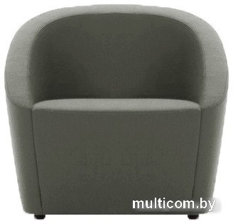 Интерьерное кресло Brioli Джакоб (J20/серый)