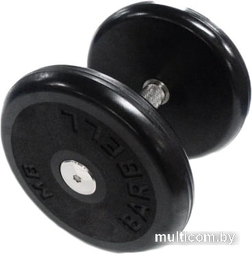 Гантели MB Barbell Классик 11 кг