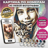 Картина по номерам QBRIX Vintage 40031