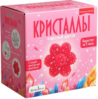Набор для опытов Bumbaram Кристаллы. Чудесный цветок красный A127