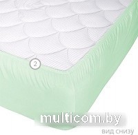 Защитный наматрасник Vegas Protect Cotton S1 110x200 (фисташковый)