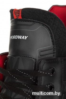 Коньки Nordway U0I0QIKF2K A21ENDIH004-MX (р. 41, мультицвет)