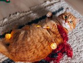 Рыжий кот Кот в мишуре Х-7544