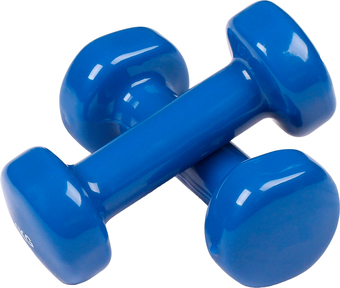 Гантели Indigo 92005 IR 2x1 кг (синий)