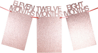 Гирлянда праздничная Darvish 12 месяцев DV-H-1390