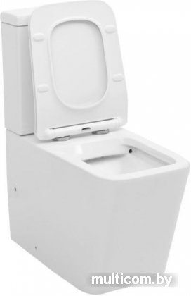 Унитаз Aquanet Rimless Tavr-C1 BL-103N-TPT