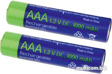Аккумуляторы Gembird Rechargeable batteties AAA 1000 mАh 2 шт. [EG-BA-AAA10-01]