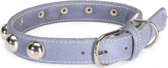 Ошейник Camon DC501/C (из экокожи c заклепками голубой)