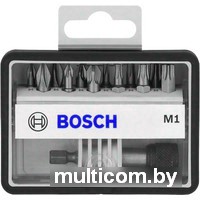 Набор бит Bosch Robust Line 2607002563 13 предметов
