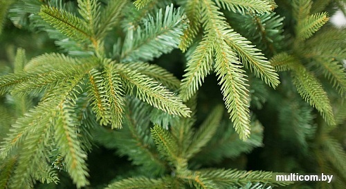 Ель Green Trees Форесто премиум 1.2 м