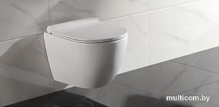 Унитаз CeramaLux TR2196