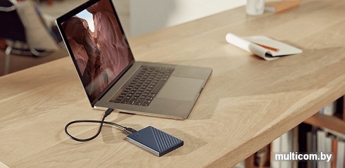 Внешний накопитель WD My Passport for Mac 4TB WDBA2F0040BBL