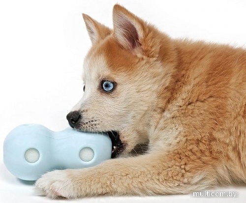 Игрушка для собак EBI Petit Coco 309/449431