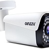 CCTV-камера Ginzzu HAB-5302S
