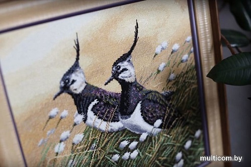 Набор для вышивания Золотое руно Чибисы З-058