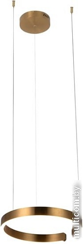 Подвесная люстра LOFT IT Ring 10013S