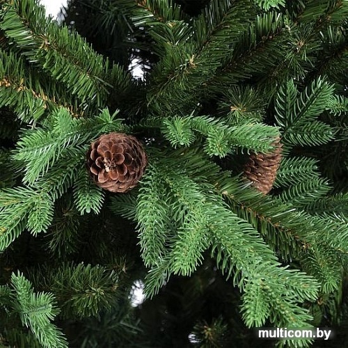 Ель Царь Елка Европейская с шишками 1.8 м