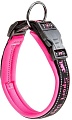 Ошейник Ferplast Sport Dog C25/45 78004016 (розовый)