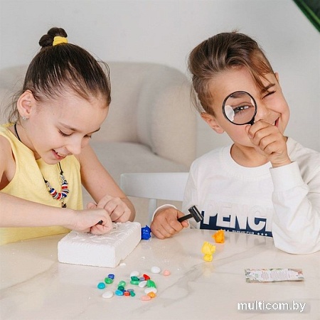 Набор для опытов Bumbaram Раскопки. Зоопарк dig-66