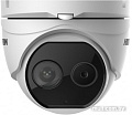 IP-камера Hikvision DS-2TD1217B-3/PA