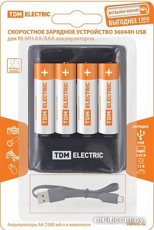 Аккумуляторы + зарядное TDM Electric 36044Н SQ1702-0101