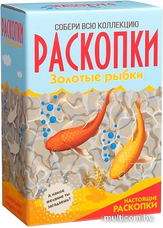 Набор для опытов Раскопки Золотые рыбки DIG-43