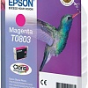 Картридж Epson C13T08034011