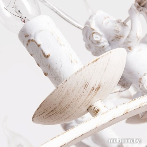 Подвесная люстра Arte Lamp Amur A1133SP-6WG