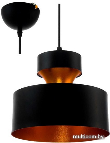 Подвесная люстра Aitin Pro 12266D/1 (черный)